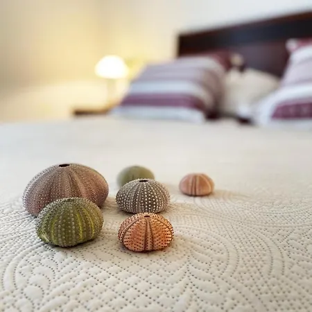 Apartment Ocean Village